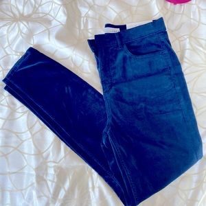 Nwt Rich colored, velvet feel pant by Loft. Size 6.